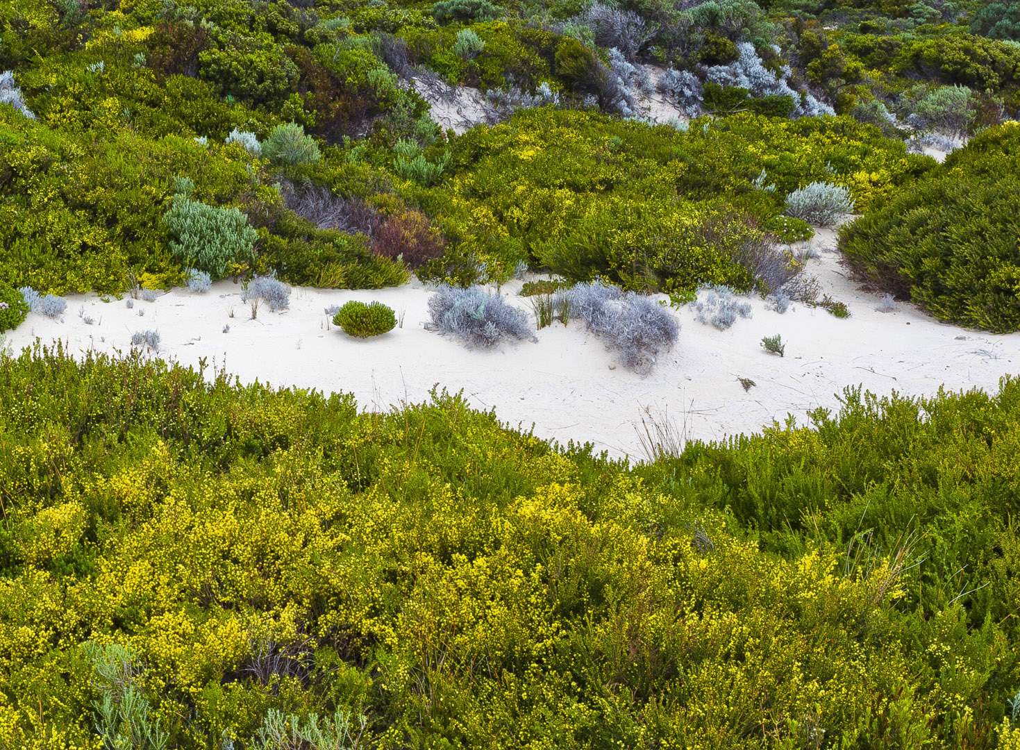 L 13319 Hamelin Bay WA
