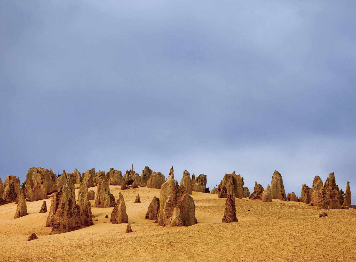 L 14453 Pinnacles WA