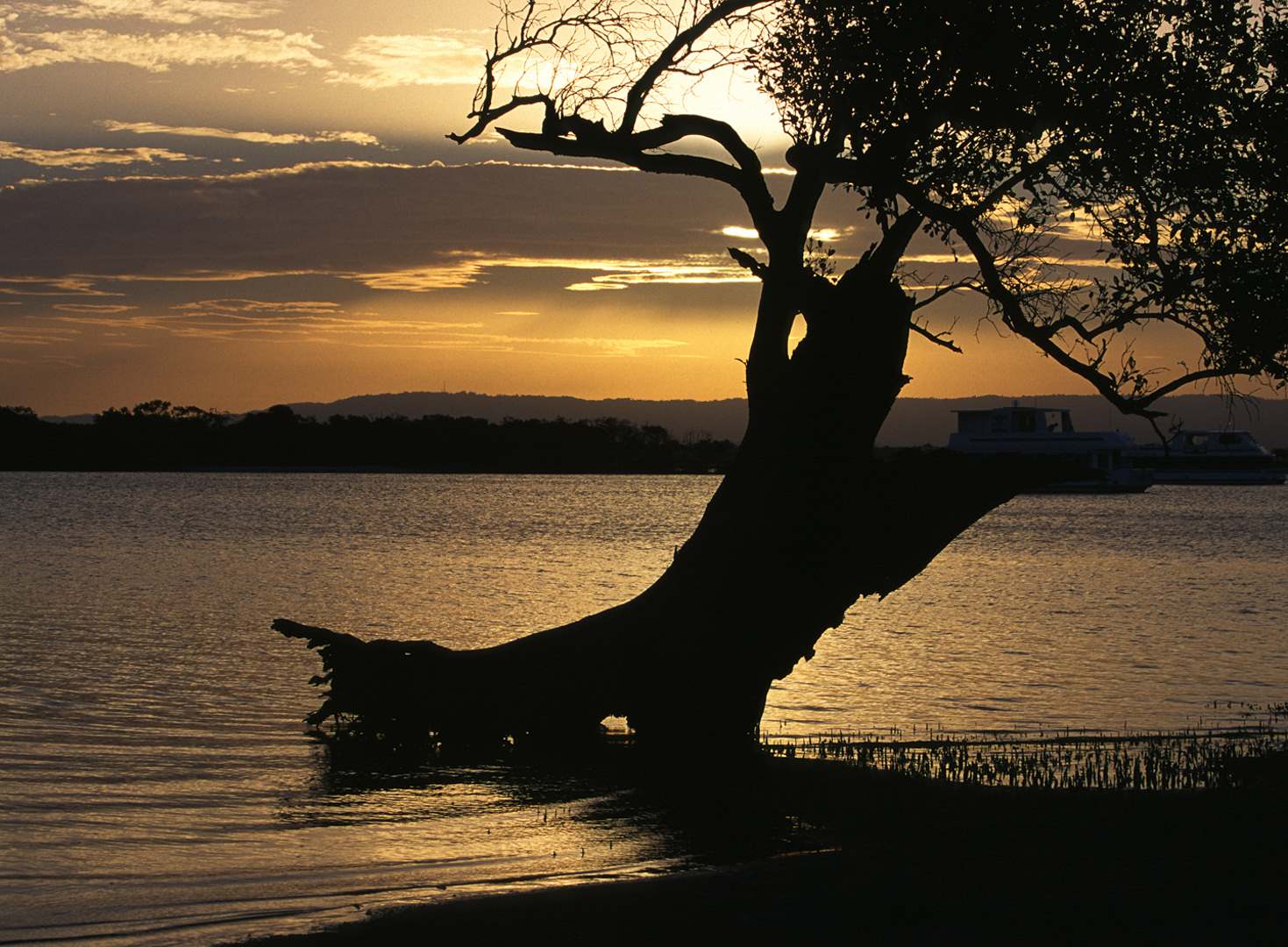 L 1505 Broadwater Sunset