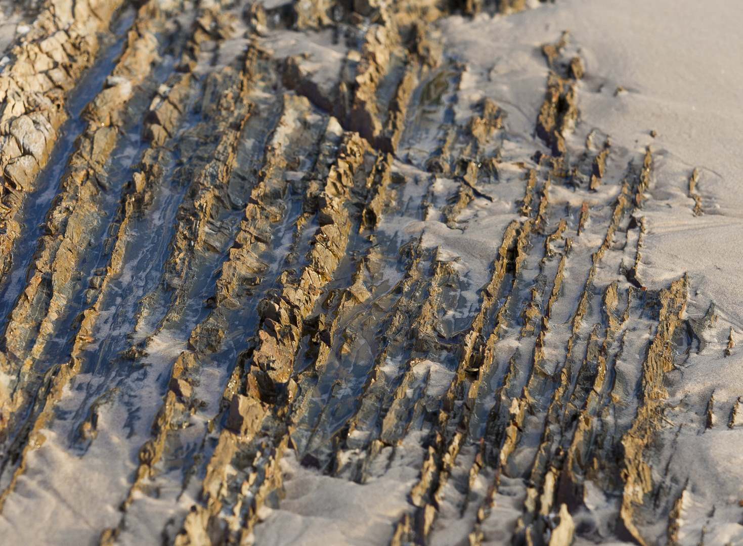 L 21053 Snapper Rocks