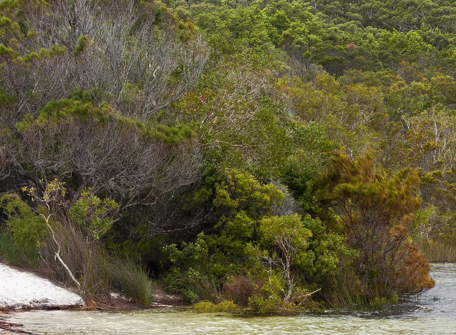 L 21575 Frazer Island