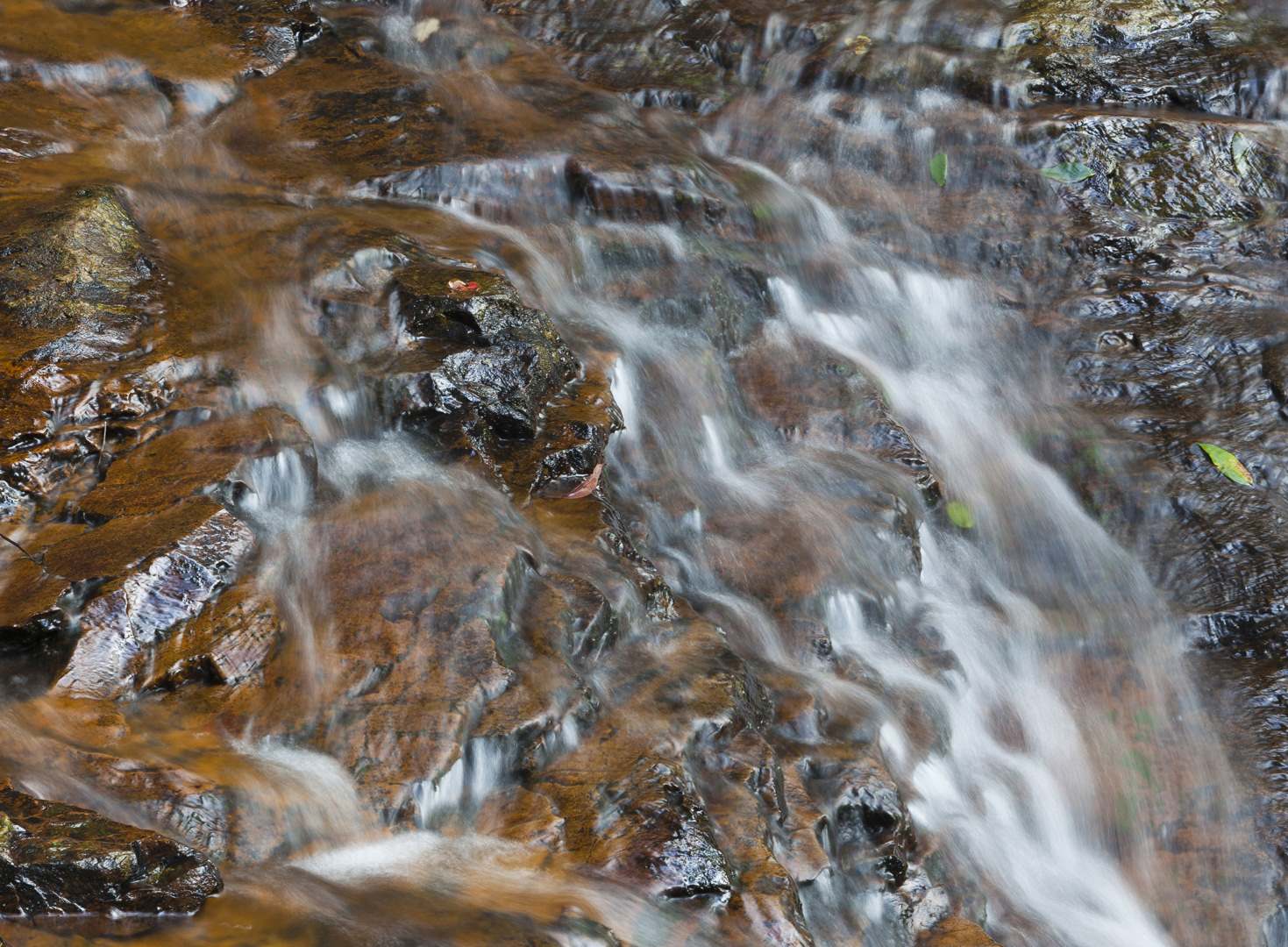 L 22446 Goomoolahra Falls Sprinbrook