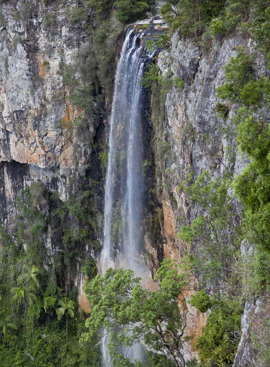 L 22469 Purlingbrook Falls Sprinbrook