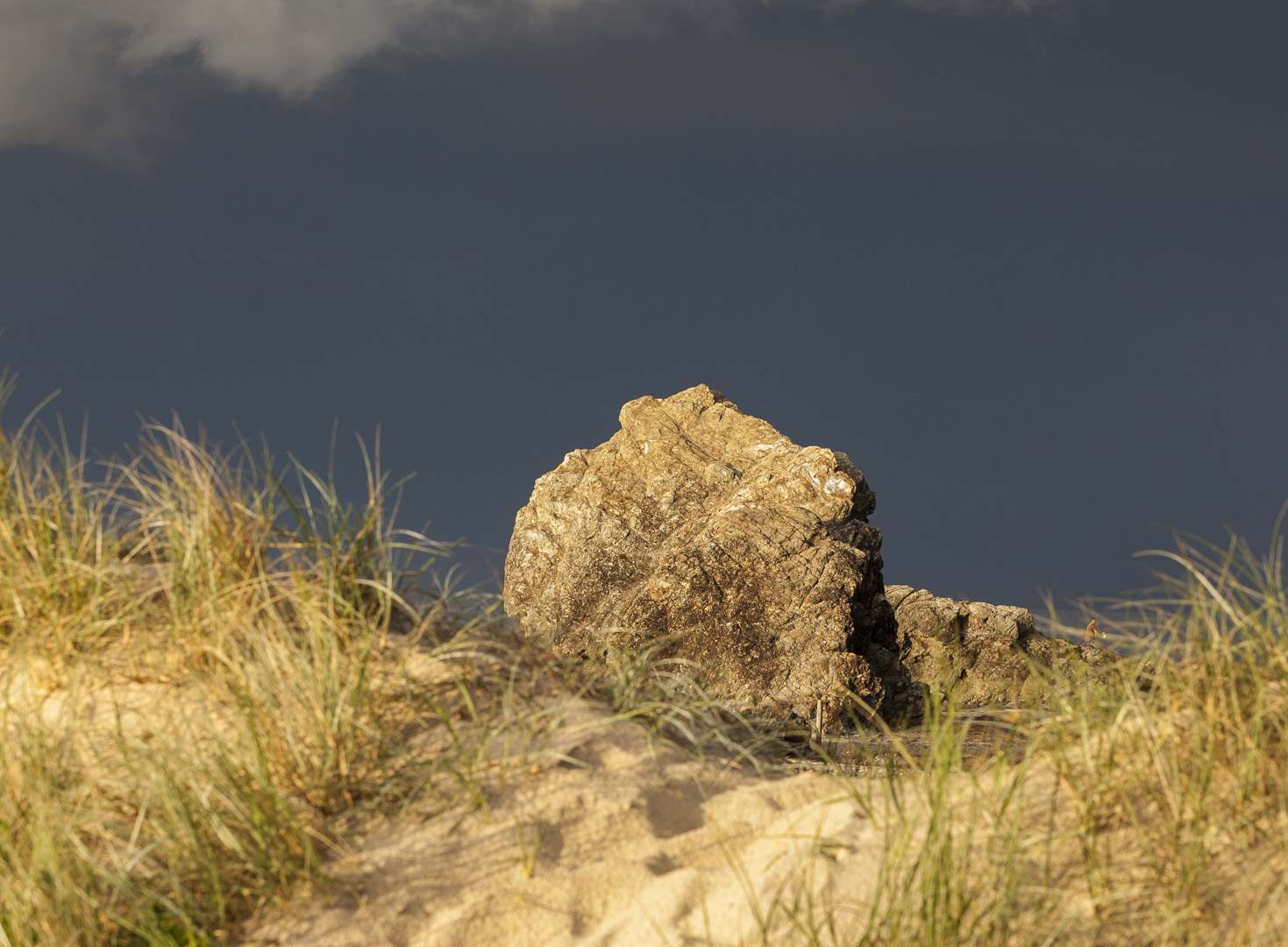 L 23378 Currumbin Beach