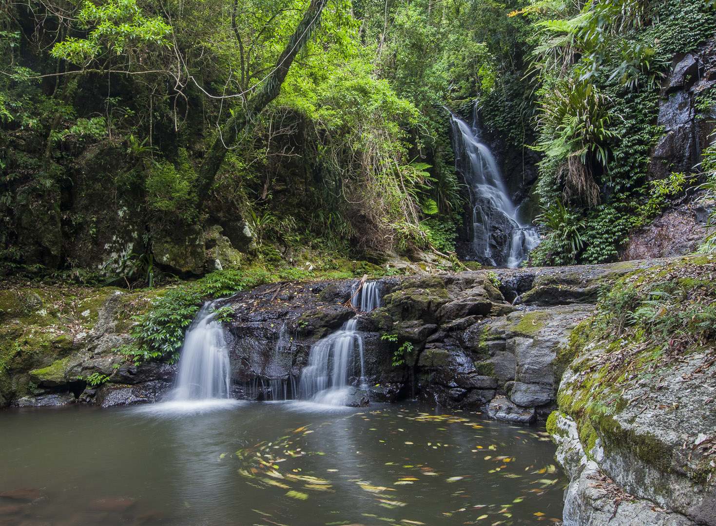 L 24212 Elabana Falls O'Reilly's