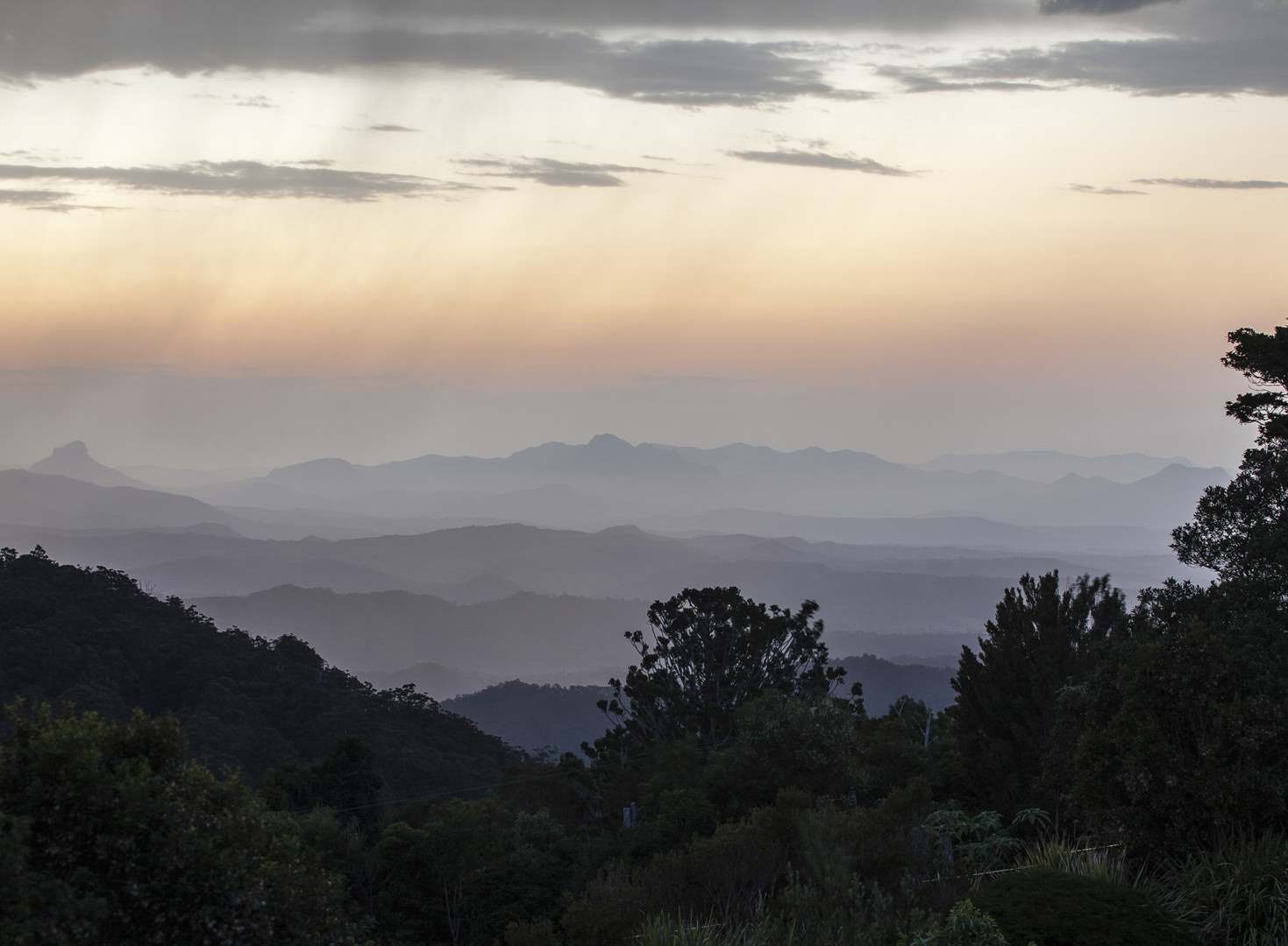 L 24349 Sunset O'Reilly's