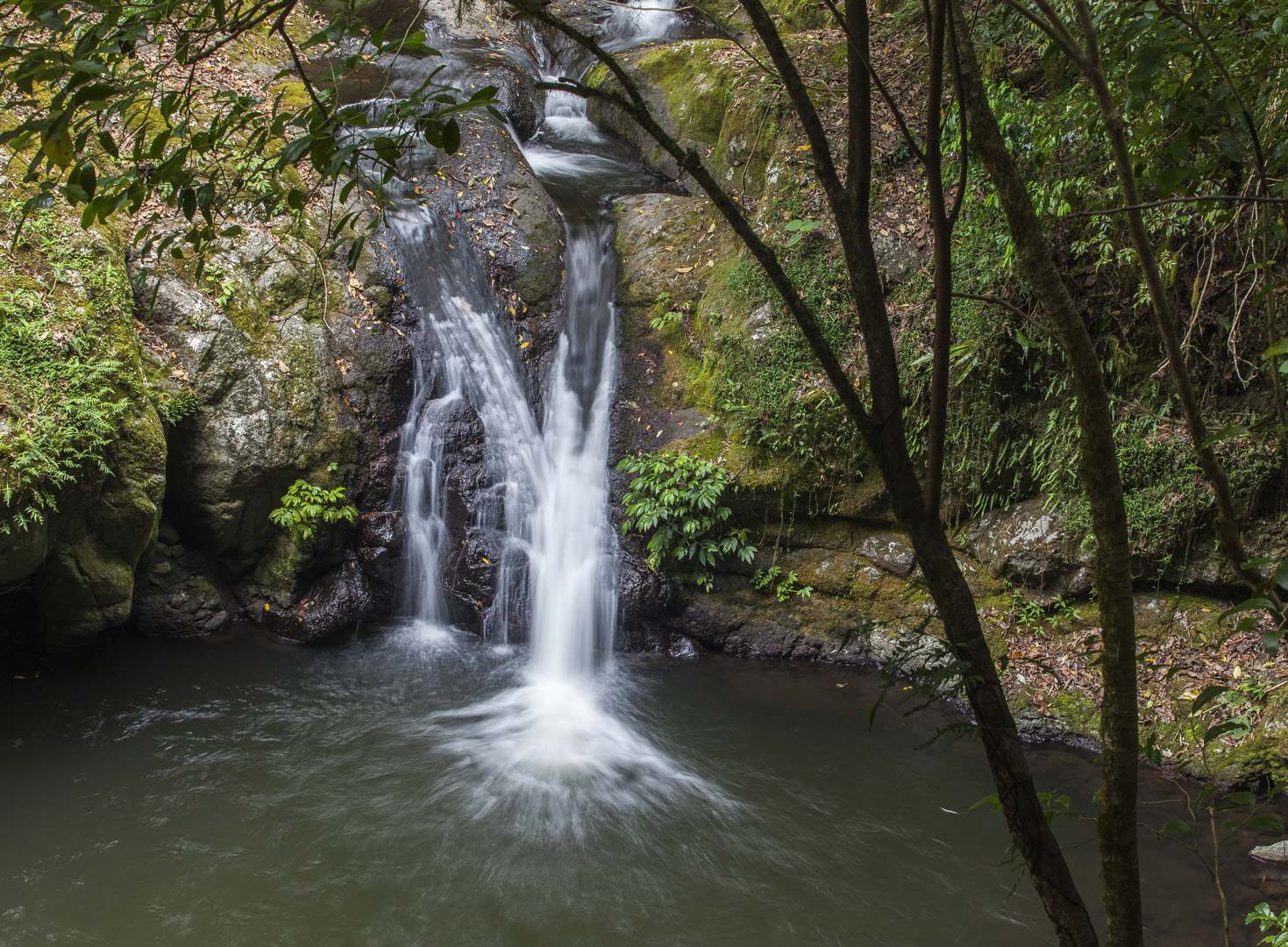 L 24376 Yanbacoochie Falls O'Reilly's