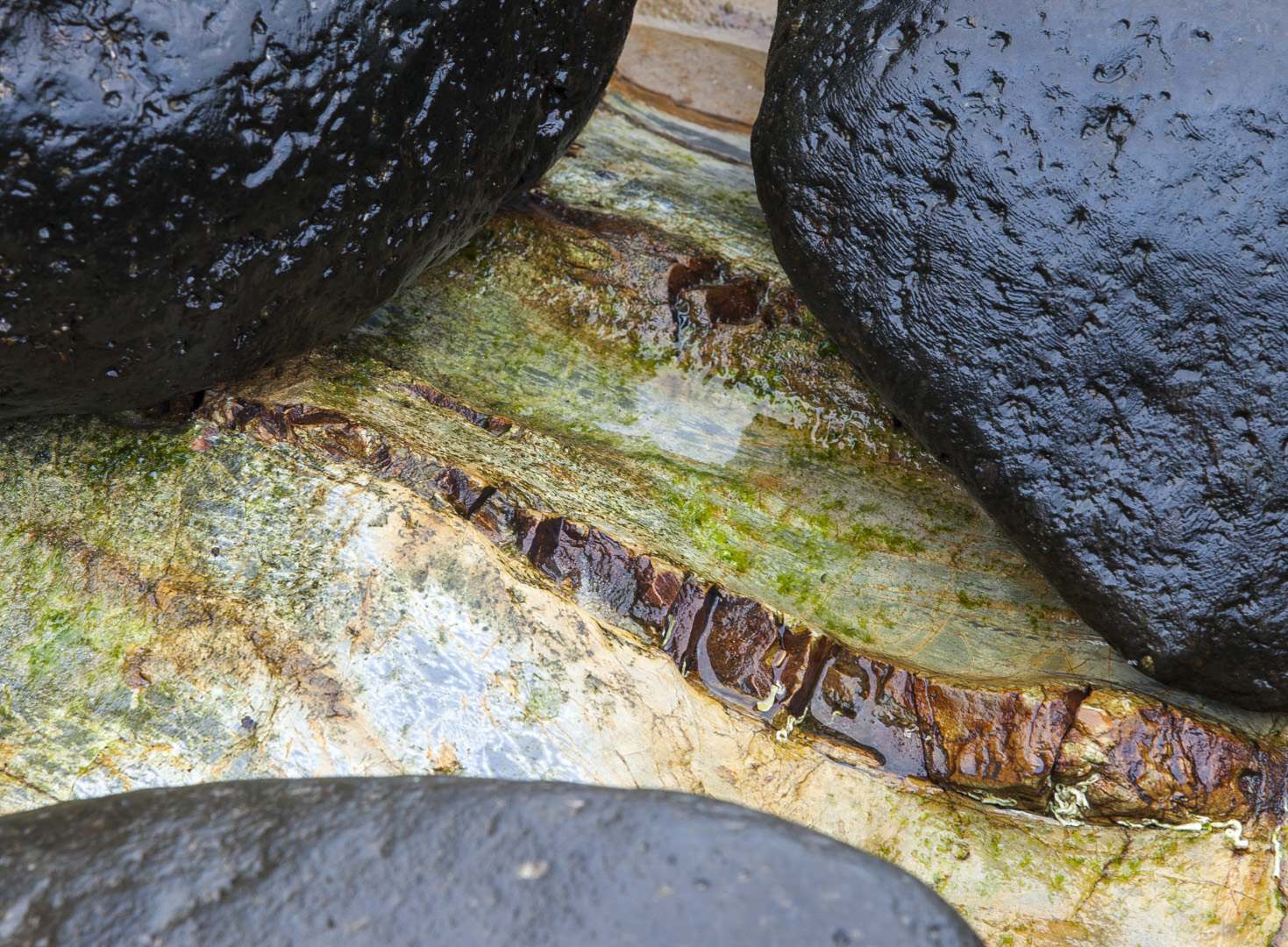 L 24400 Greenmount Coolangatta