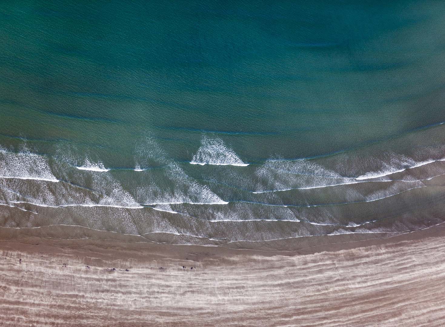 L 28905 Cairns Reef Hichinbrook Island