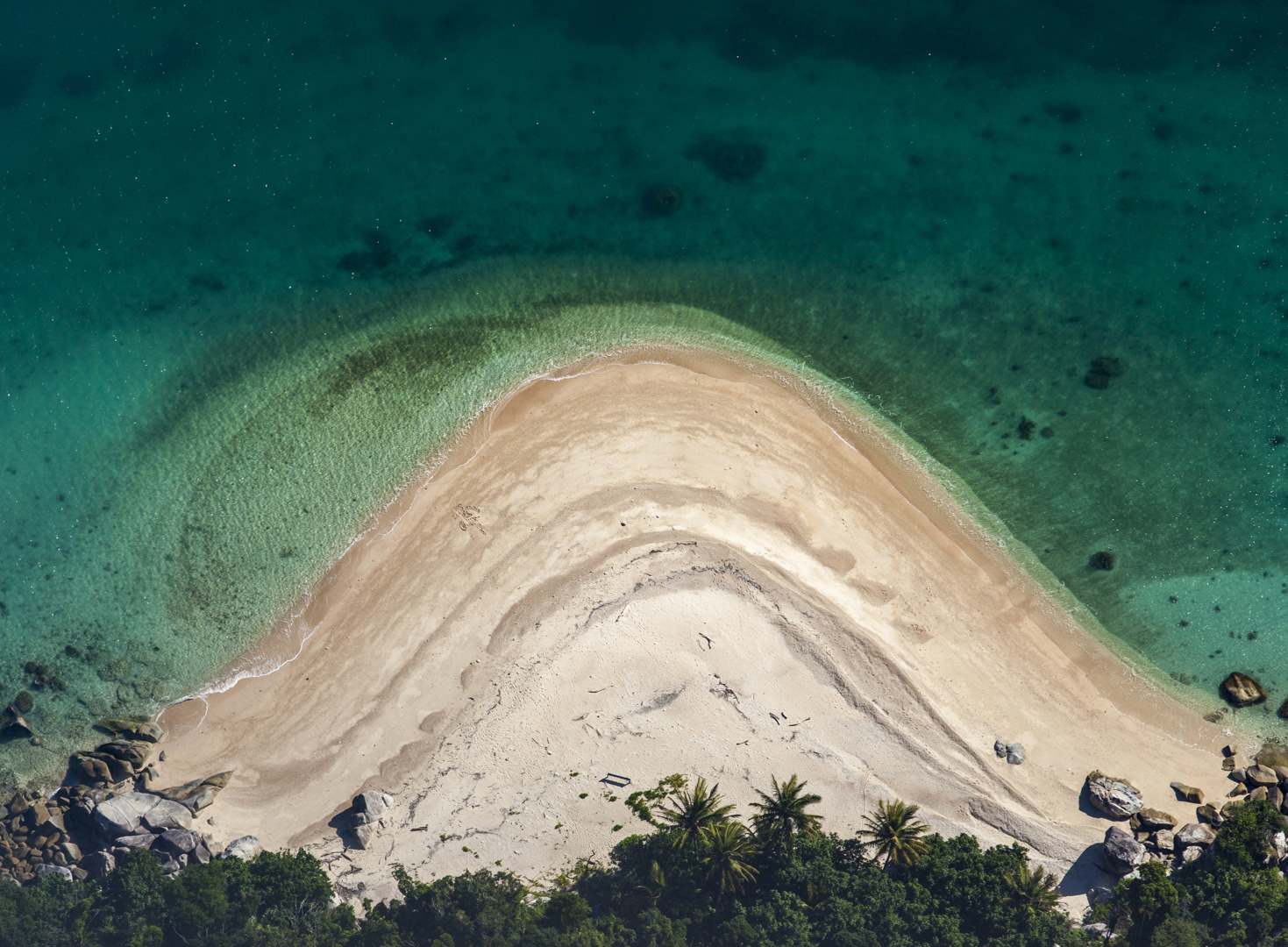 L 29122 Cairns Reef Hitchinbrook Island