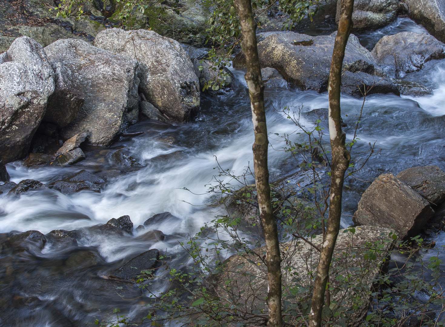 L 29862 Crystal Cascades Cairns