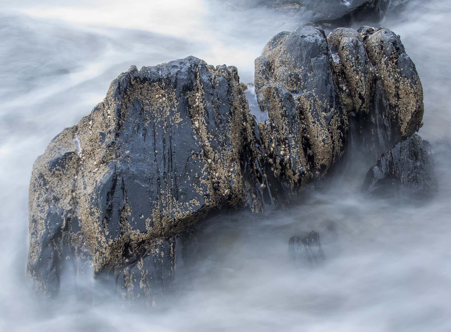 L 33303 Daintree Noah Beach