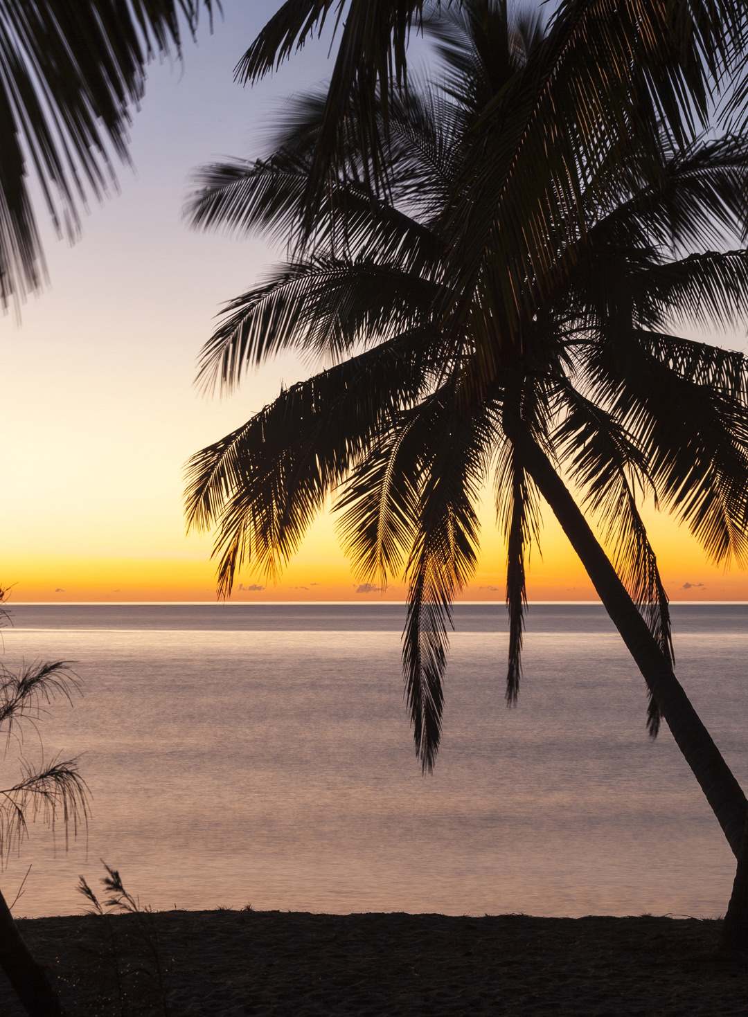 L 35880 Thala Beach Port Douglas