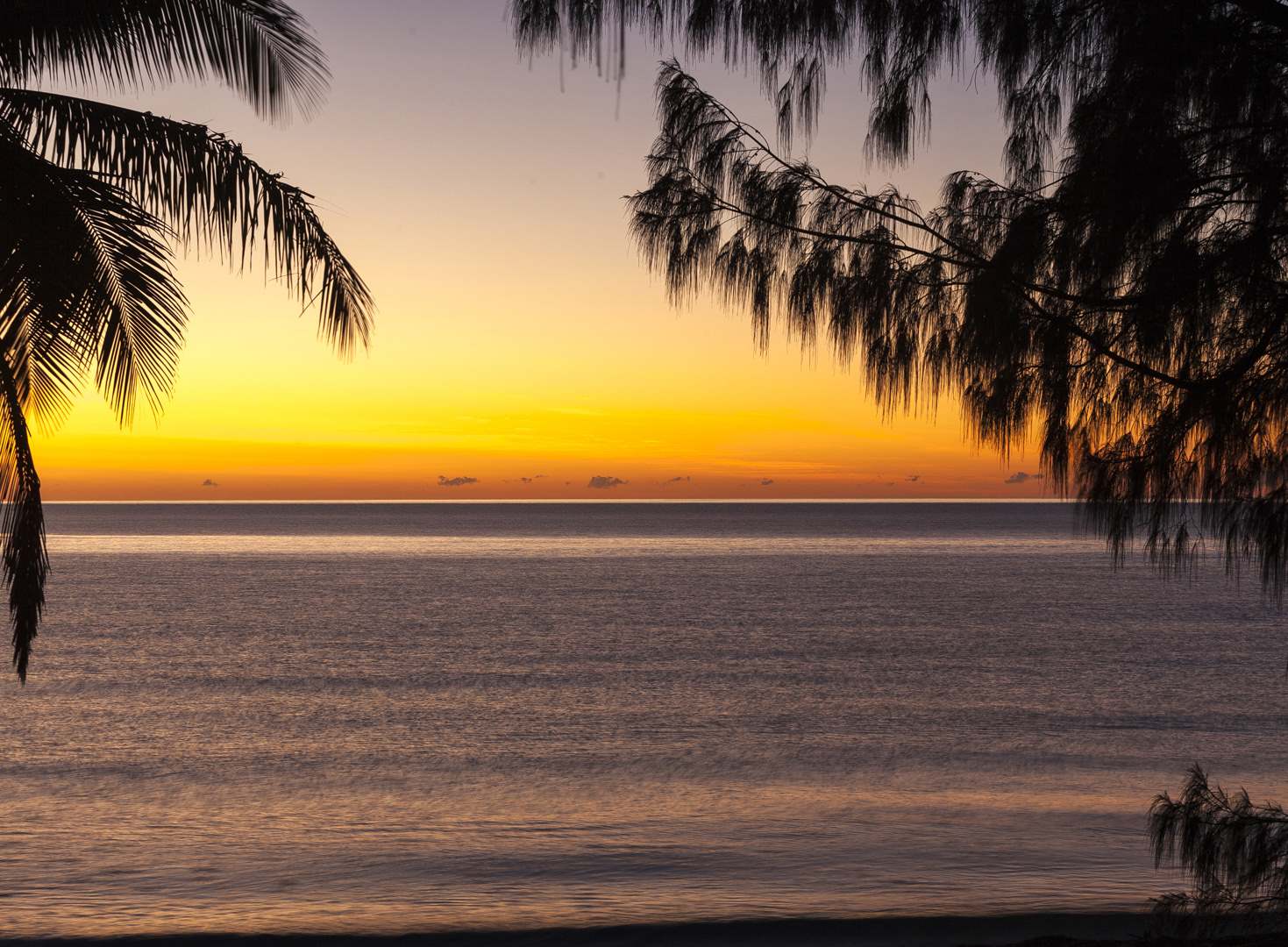 L 35882 Thala Beach Port Douglas