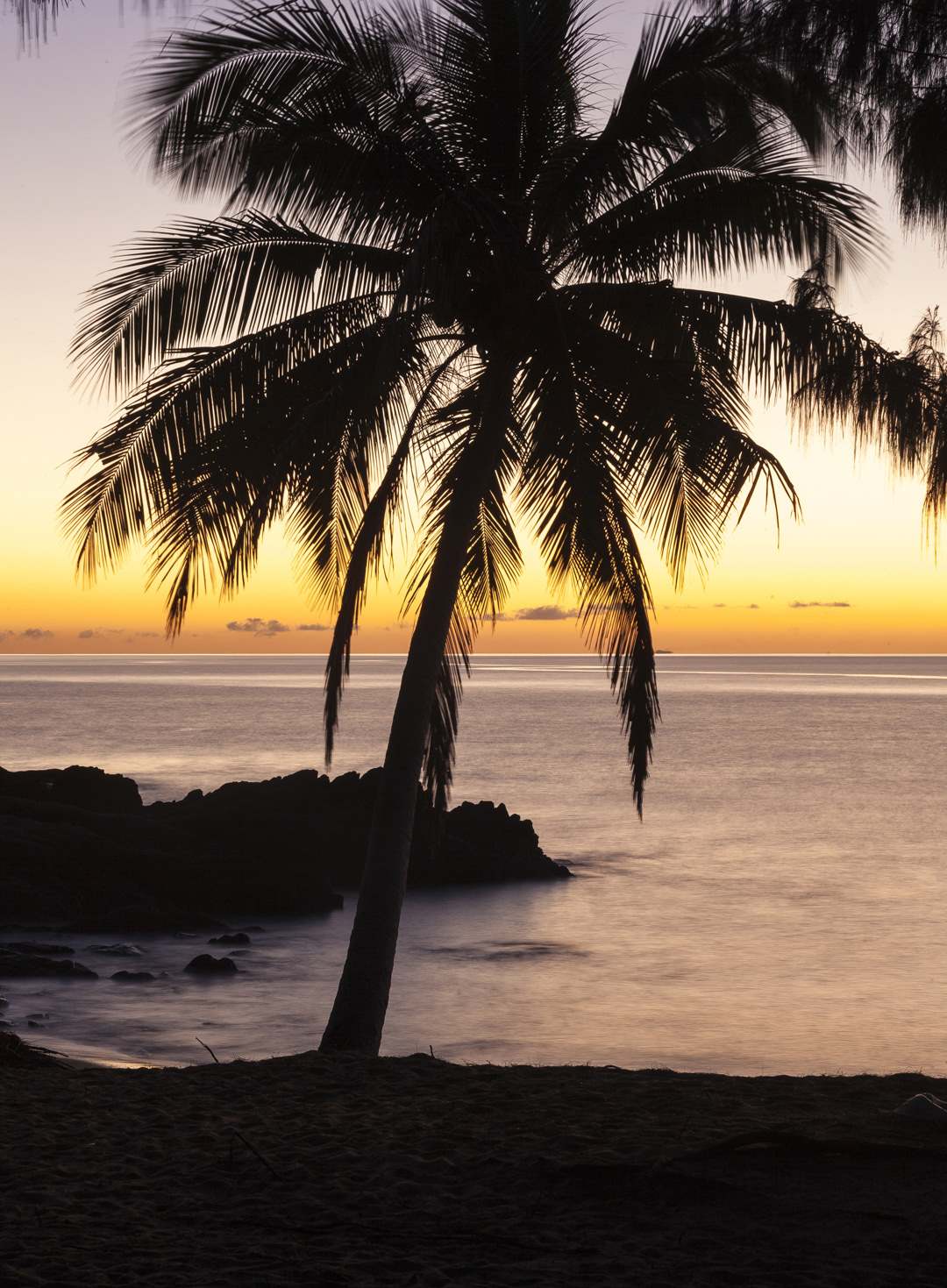 L 35884 Thala Beach Port Douglas