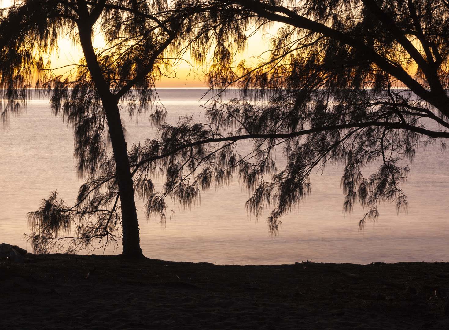 L 35885 Thala Beach Port Douglas