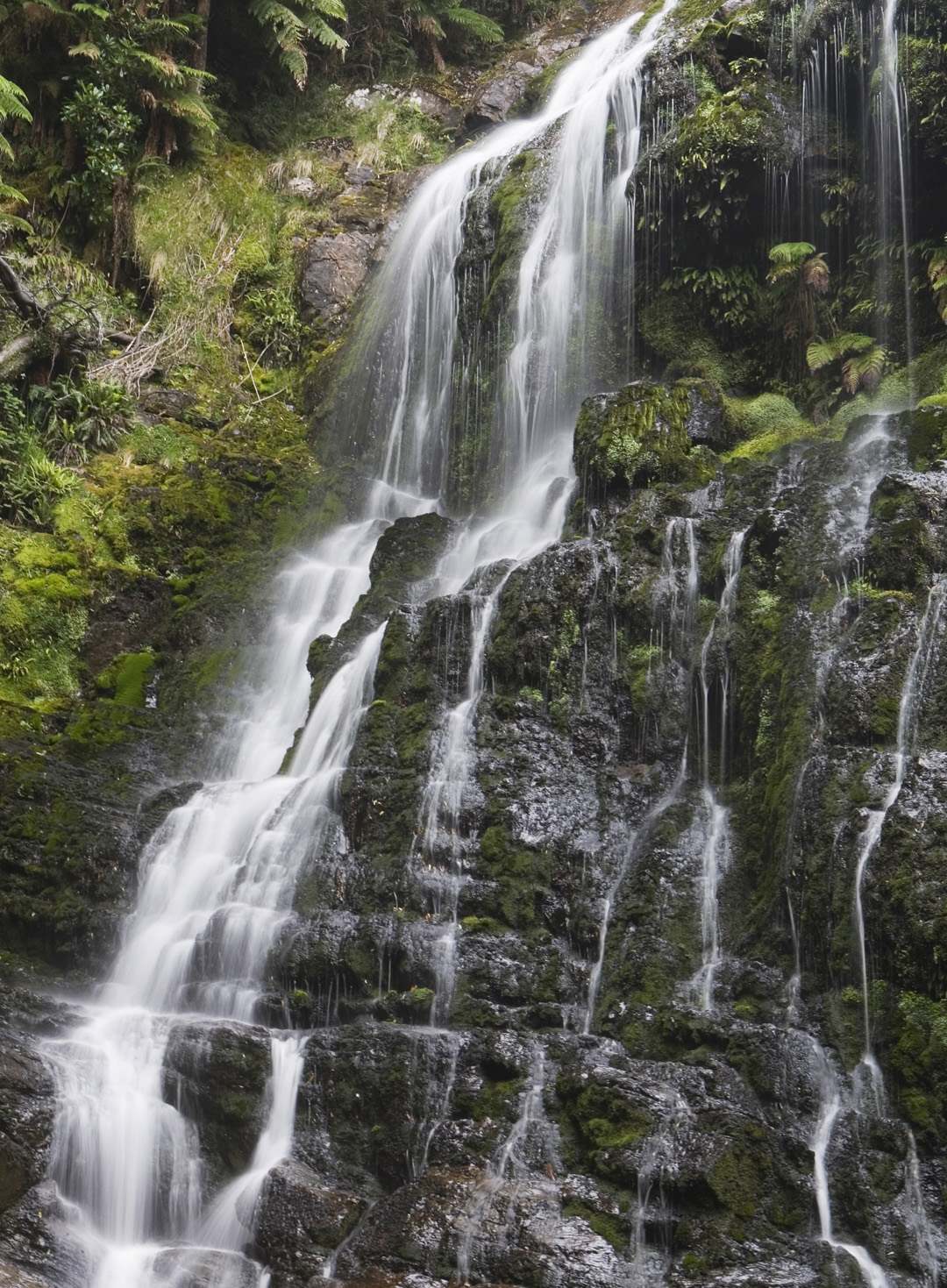 L 3592 Nelson Falls Franklin