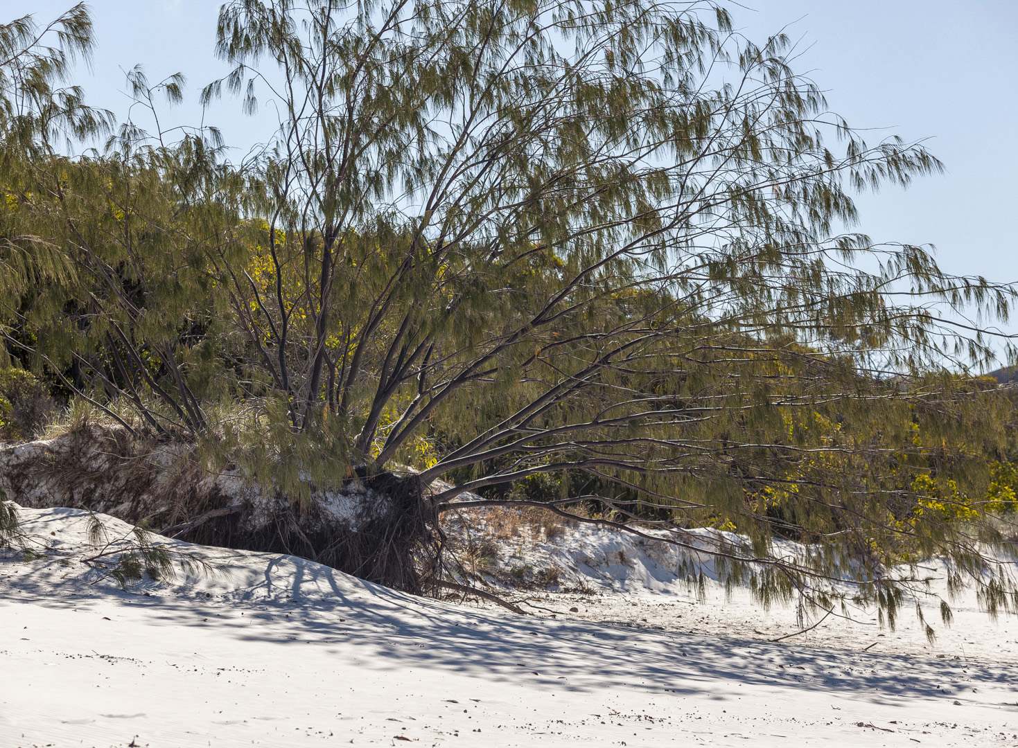 L 36850 Whitehaven Beach