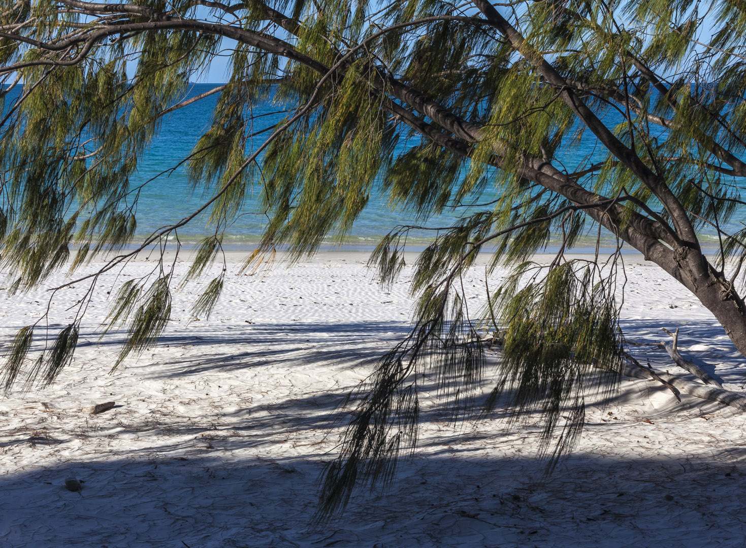 L 37003 Whitehaven Beach