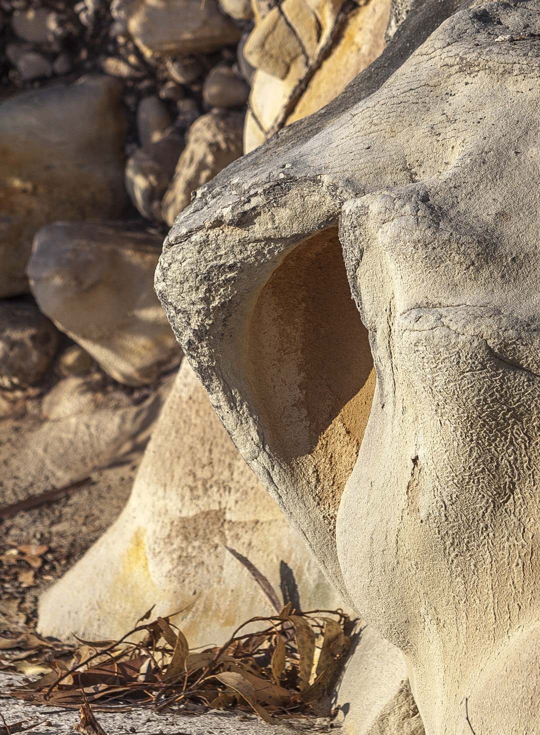 L 37122 Bruny Island Adventure Bay