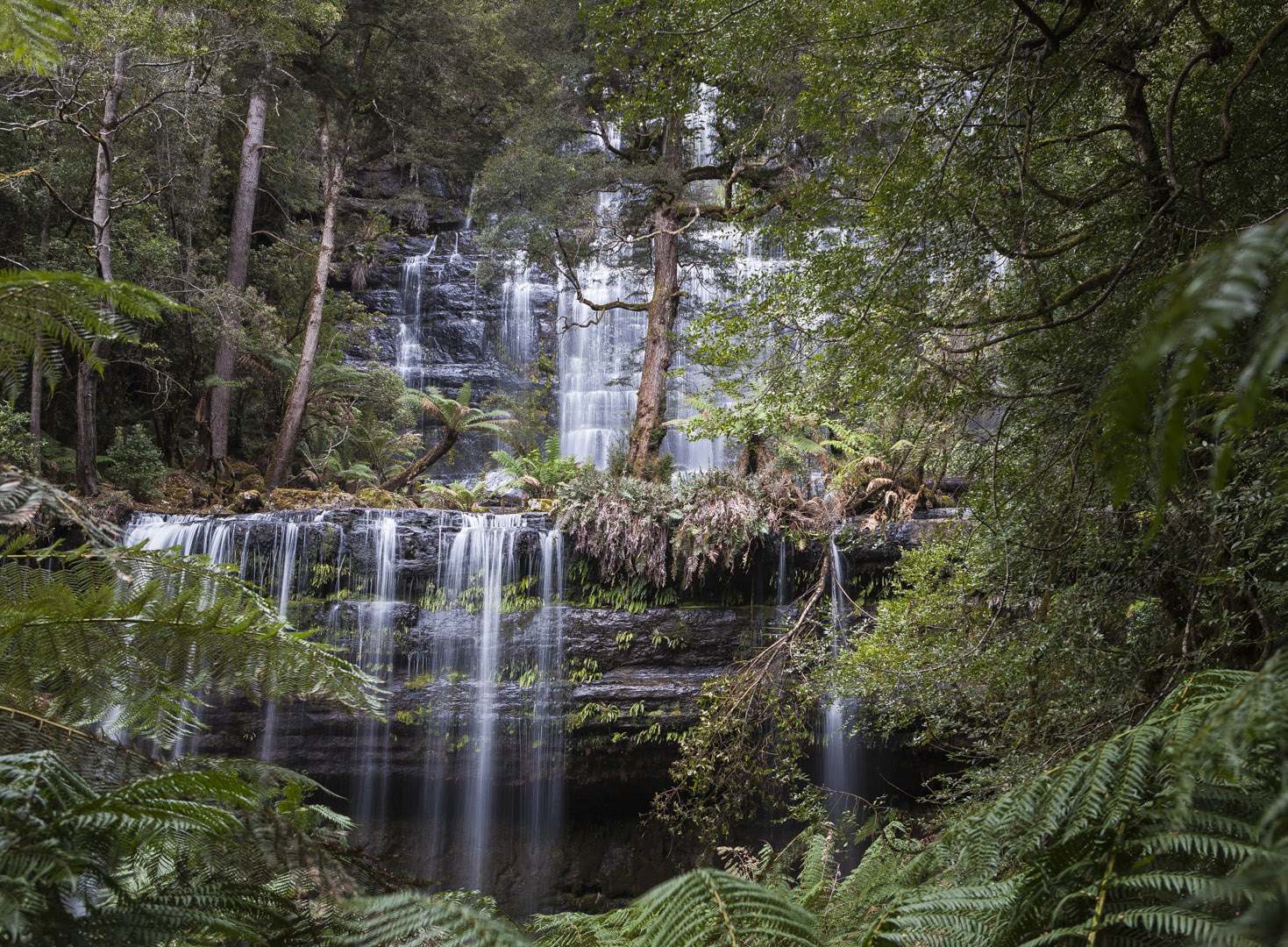 L 38534 Mt Field NP Russell Falls