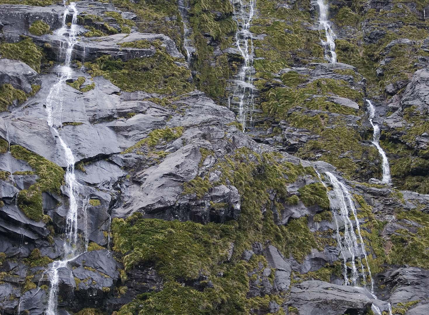L 7255 Milford Sound NZ