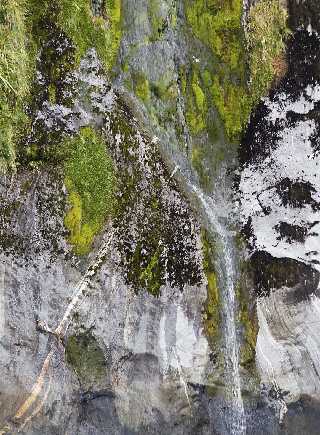 L 7281 Milford Sound NZ