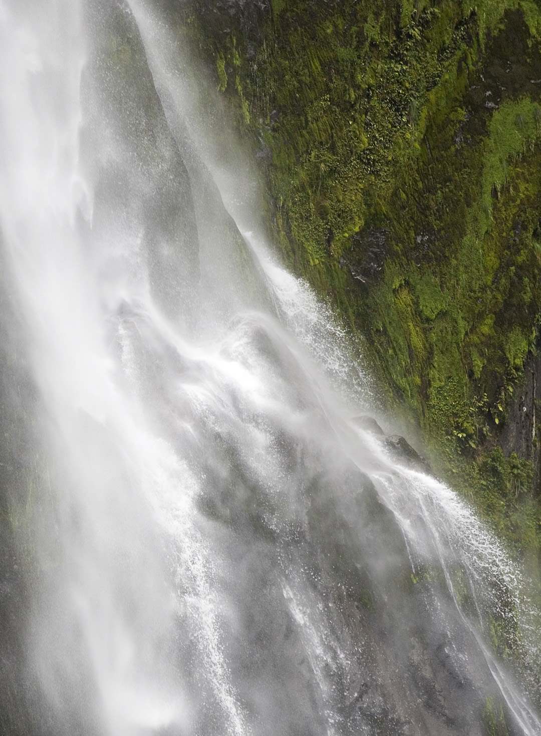L 7363 Milford Sound NZ